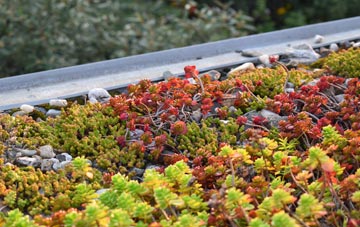 the cost of Newbiggin Hall Estate green roof installation