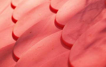 Newbiggin Hall Estate plastic roof costs